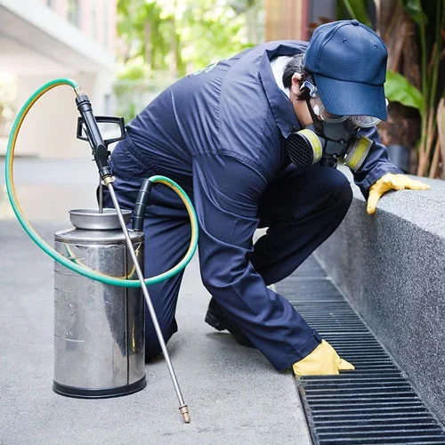 Commercial Pest Control